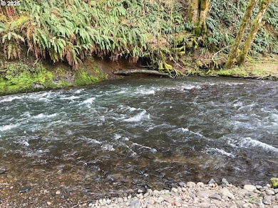 62941 NW Cochran Rd, Timber, OR 97144 - photo 3