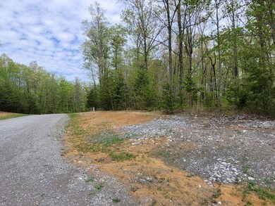 bluff view 5