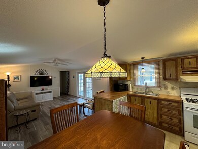 37262 Sugar Hill Way unit 41410, Selbyville, DE 19975 - photo 4