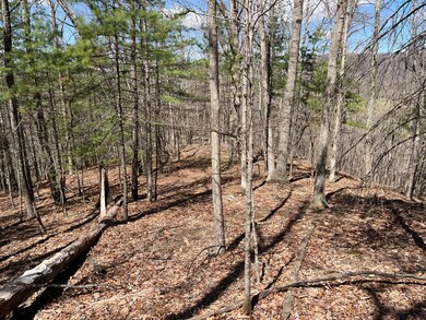 0 Back Cr S Sec Rt 23 5 39 9 unit 23-18, Union, WV 24983 - photo 7