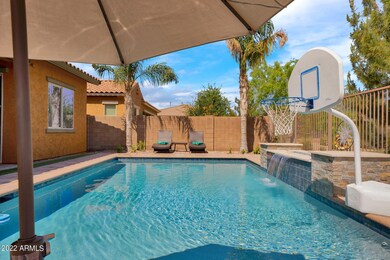 Long Backyard with Loungers