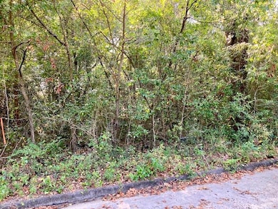 .47ac. Jordan St, Defuniak Springs, FL 32433 - photo 3