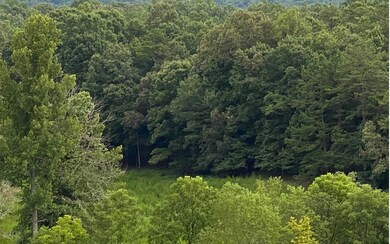 Additional View