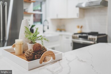 2130 Farrington Ave, Alexandria, VA 22303 - photo 6