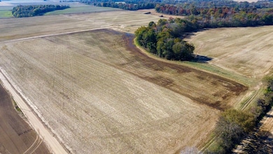 000 Highway 328, Reyno, AR 72462 - photo 5