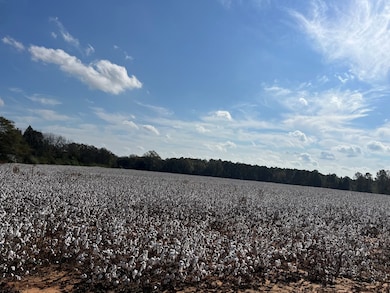 TBD US Highway 431 S, Eufaula, AL 36027 - photo 3