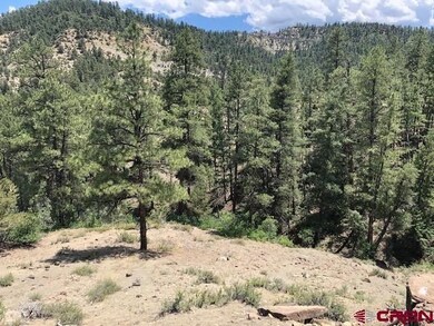 29736 State Hwy 151, Chimney Rock, CO 81147 - photo 5