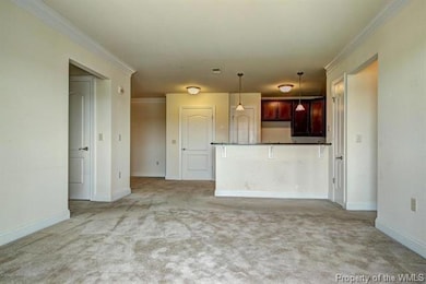 5410 Foundation St, Williamsburg, VA 23188 - photo 7