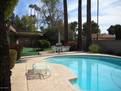 back pool/yard view