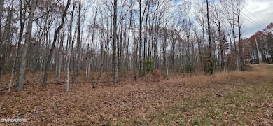 0 Rocky Top Rd unit 1322693, Monterey, TN 38574 - photo 3