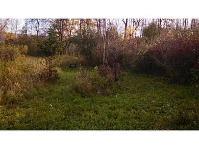 Yard/Garden