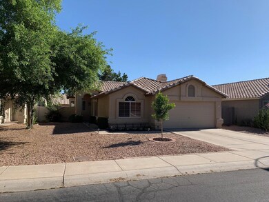 Easy maintenance front yard