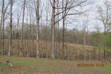 701 Edenway Rd, Dover, TN 37058 - photo 4