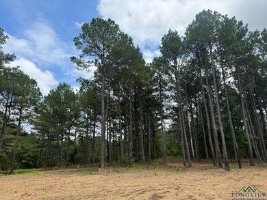 View of wooded area