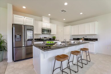 21051 Pinot Noir Dr, Patterson, CA 95363 - photo 5