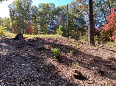 22 Carew Dr, Bella Vista, AR 72714 - photo 7