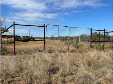 5150 Fm 2779, Pearsall, TX 78061 - photo 3