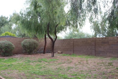 Spacious Backyard