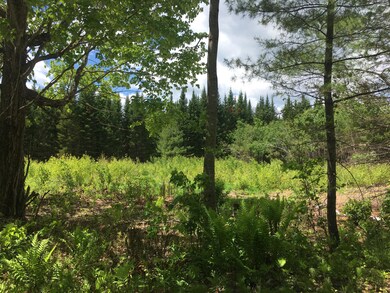 Lot4B