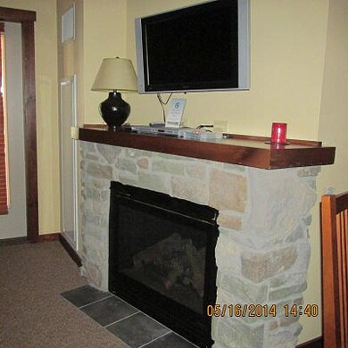 SE 310 fireplace