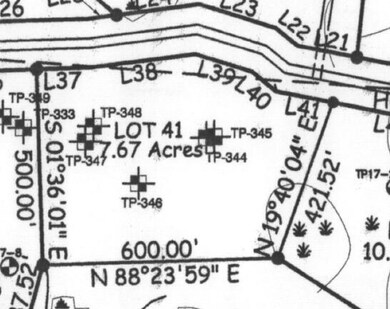 Lot 41