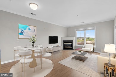 3830 Lightfoot St unit 335, Chantilly, VA 20151 - photo 3