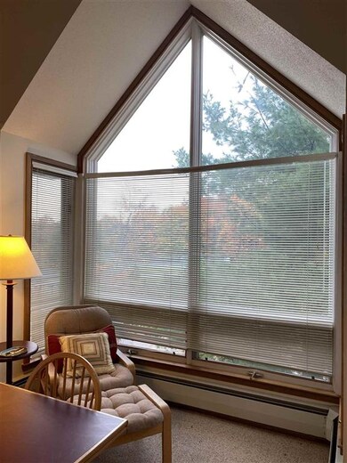 4I Northbrook Village Rd unit B- 31, Dover, VT 05356 - photo 3