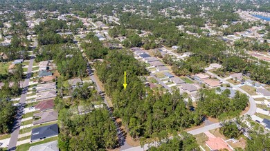 29 Pontiac Ln, Palm Coast, FL 32164 - photo 2