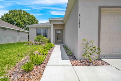 10148 Duffy Cir, Weeki Wachee, FL 34613 - photo 5