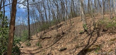 27 Pathfinder Trail, Asheville, NC 28806 - photo 7