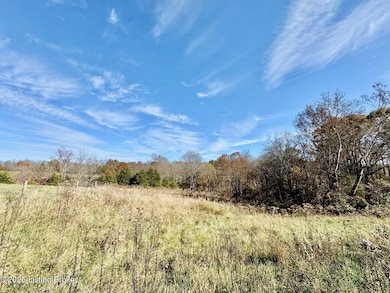 9501 Triple 5 Hwy, Willisburg, KY 40078 - photo 5