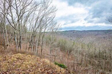 River Gorge Ranch Lot 1354 HD-28