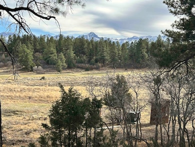 46 Marmot Dr, Loghill Village, CO 81432 - photo 4