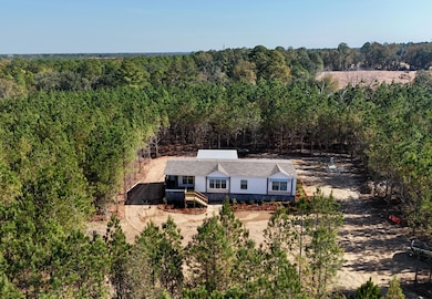 1262 Penny Morris Rd, Baxley, GA 31513 - photo 3