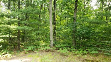 970 W 14 Mile Rd, Bitely, MI 49309 - photo 5