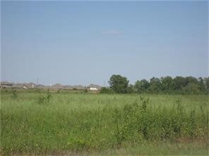 00000 Joerger, Rosenberg, TX 77471 - photo 3