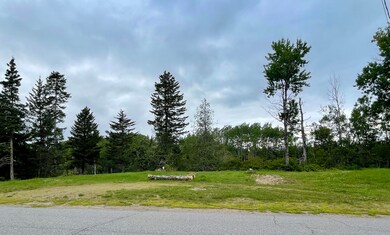 IMG_7489