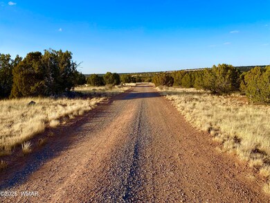 1965 Tee St, Show Low, AZ 85901 - photo 4