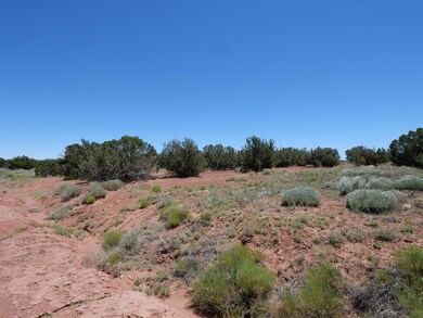 P1000166
