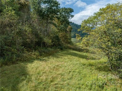 000 Silvers Gap Rd, Burnsville, NC 28714 - photo 7