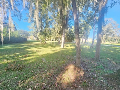 1206 River Pointe Dr, Albany, GA 31701 - photo 6