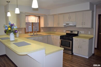 2191 Benson Rd, Jacksonville, IL 62650 - photo 5