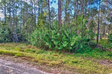 515 Ladd St, Lehigh Acres, FL 33974 - photo 6