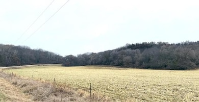 19xx 65th St NE, Rochester, MN 55906 - photo 4