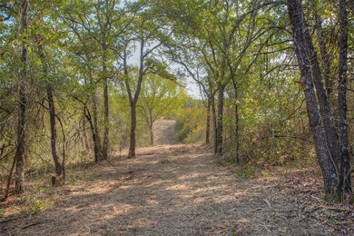 TBD Texas 199 unit 6, Poolville, TX 76487 - photo 7