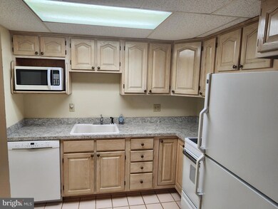 12918 N Cresap St unit 49, Cumberland, MD 21502 - photo 3