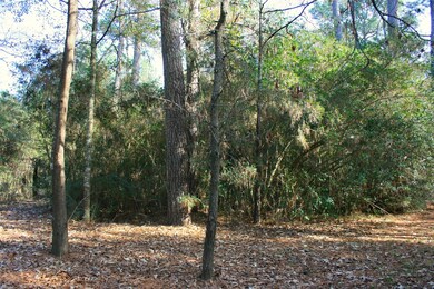 Lot 11 Silver Elm Place, Magnolia, TX 77355 - photo 7