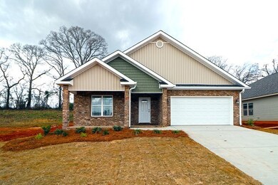 unlisted-address, Byron, GA 31008 - photo 2