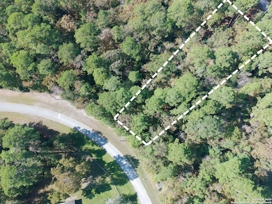 LOT 103 Shoreline Dr, Trinity, TX 75862 - photo 3