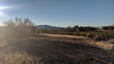 Open Hillside Lot